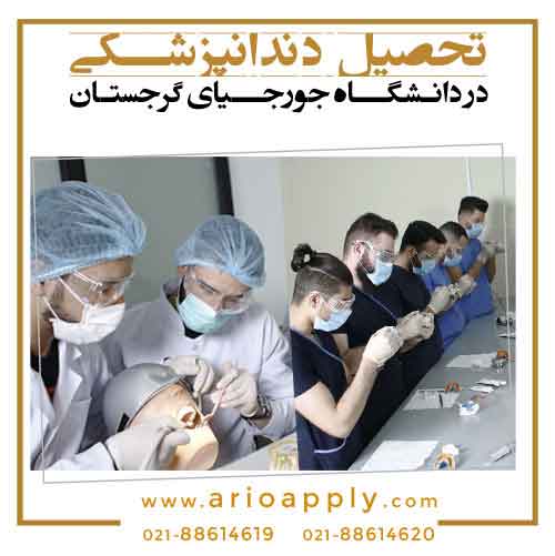 مزایای تحصیل در دانشگاه جورجیا