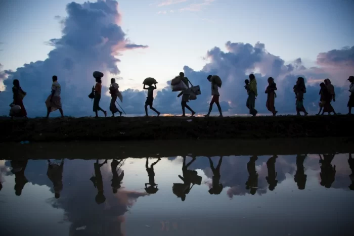 Migration